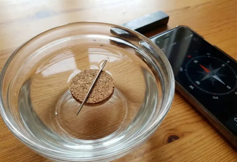 A DIY water compass experiment showing a magnetized sewing needle resting on a slice of cork floating in a bowl of water, aligning itself with a smartphone compass app.